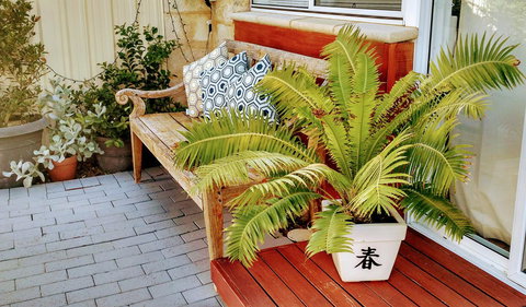 Sun Studio - Accommodation Mount Tamborine 33