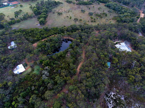 Denmark Forest Retreat - Accommodation Mount Tamborine 1