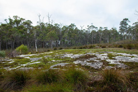 Denmark Forest Retreat - Accommodation Mount Tamborine 26