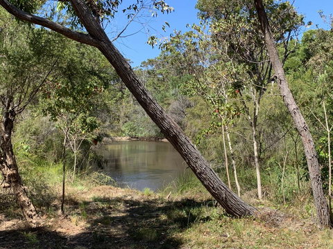 Denmark Forest Retreat - Accommodation Mount Tamborine 32