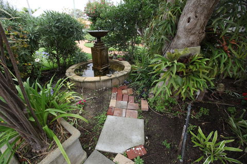 Jacaranda Guest House - Accommodation Mount Tamborine 32