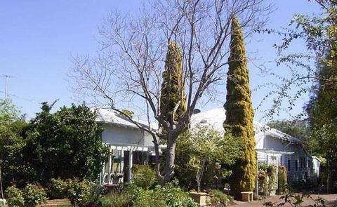 Jacaranda Guest House - Accommodation Mount Tamborine 37