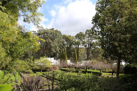 Two Sisters Chalets - Accommodation Mount Tamborine 20