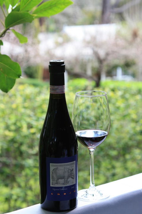 Two Sisters Chalets - Accommodation Mount Tamborine 30