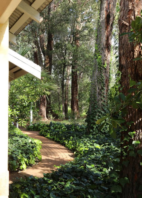 Two Sisters Chalets - Accommodation Mount Tamborine 25