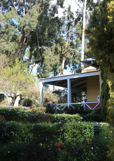 Two Sisters Chalets - Accommodation Mount Tamborine 23