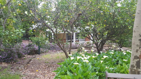 Two Sisters Chalets - Accommodation Mount Tamborine 15