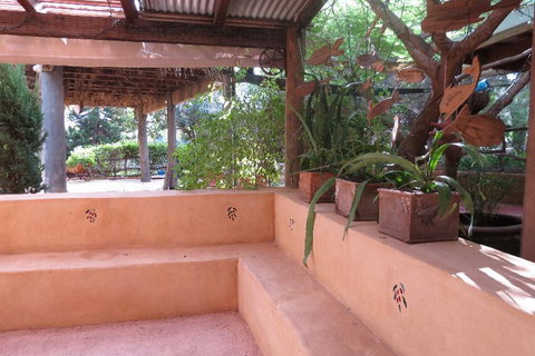 Bentwood Olive Grove Accommodation - Accommodation Mount Tamborine 10