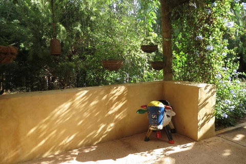 Bentwood Olive Grove Accommodation - Accommodation Mount Tamborine 9