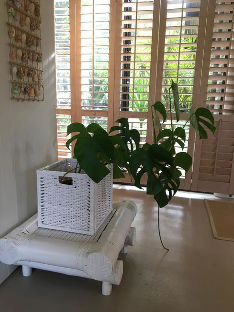 DESIGNER'S STUDIO - Accommodation Mount Tamborine 5