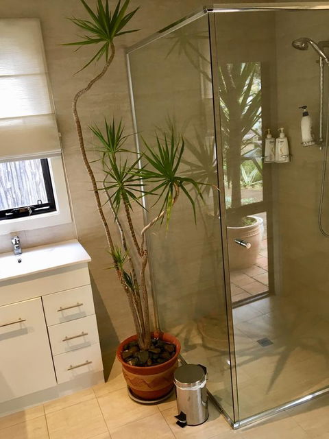 DESIGNER'S STUDIO - Accommodation Mount Tamborine 11