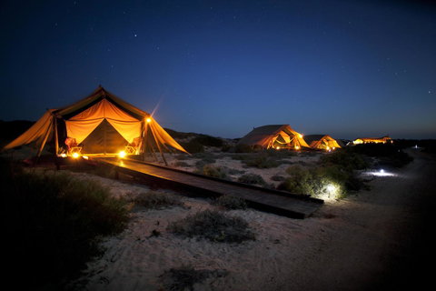Sal Salis Ningaloo Reef - Accommodation Mount Tamborine 0