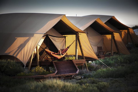 Sal Salis Ningaloo Reef - Accommodation Mount Tamborine 23