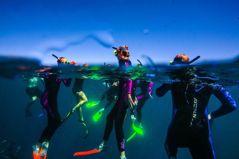 Sal Salis Ningaloo Reef - Accommodation Mount Tamborine 26