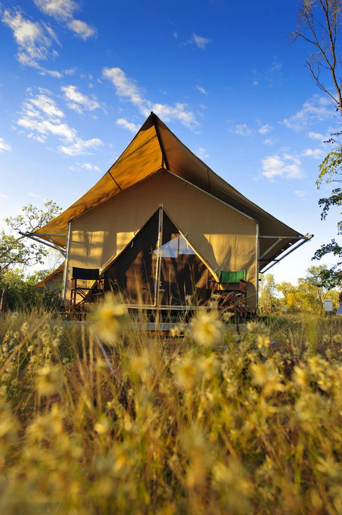 Bungle Bungle Wilderness Lodge - Accommodation Mount Tamborine 2