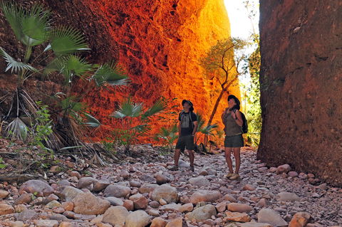 Bungle Bungle Wilderness Lodge - Accommodation Mount Tamborine 13