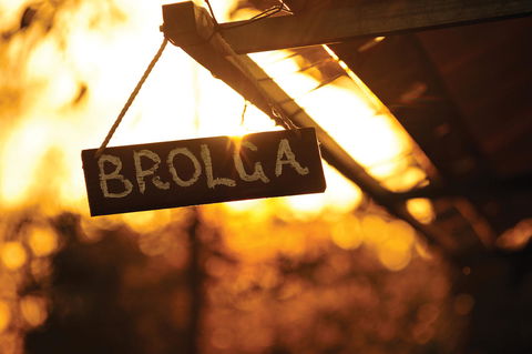 Bungle Bungle Wilderness Lodge - Accommodation Mount Tamborine 10