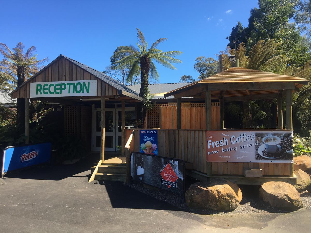  Accommodation Mount Tamborine