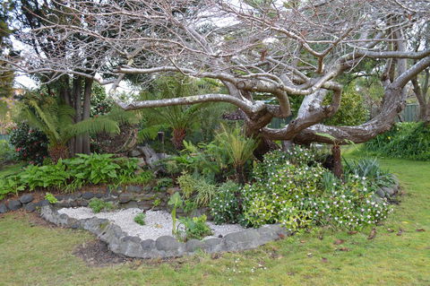 Smugglers Rest Apartments Dover - Accommodation Mount Tamborine 22