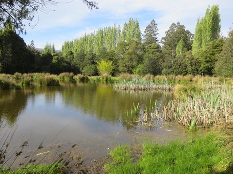 Giants Table And Cottages - Accommodation Mount Tamborine 25
