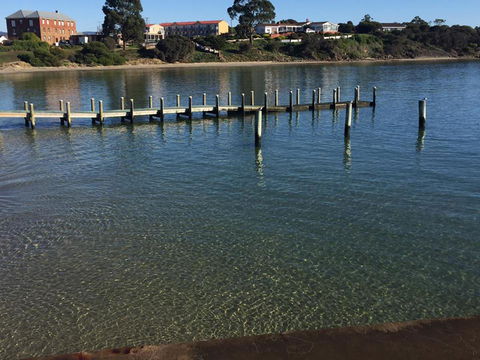 Swansea Holiday Park Tasmania - Accommodation Mount Tamborine 40