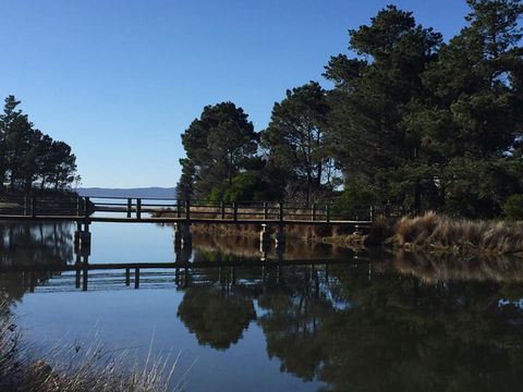 Swansea Holiday Park Tasmania - Accommodation Mount Tamborine 41