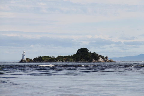 Aloft Boutique Accommodation - Accommodation Mount Tamborine 7