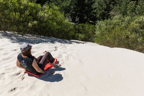 Aloft Boutique Accommodation - Accommodation Mount Tamborine 12