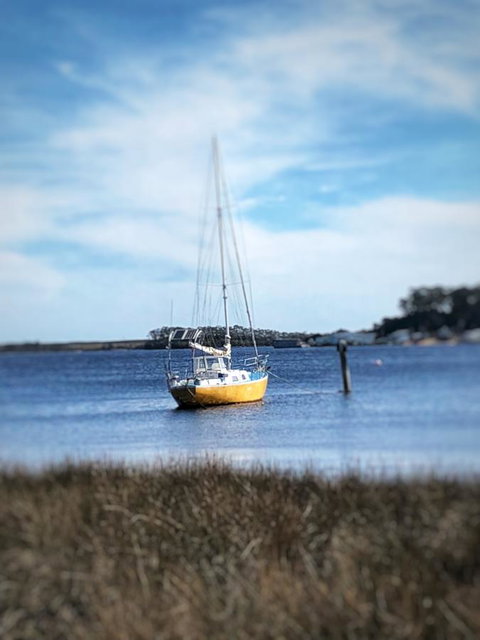 Aloft Boutique Accommodation - Accommodation Mount Tamborine 19