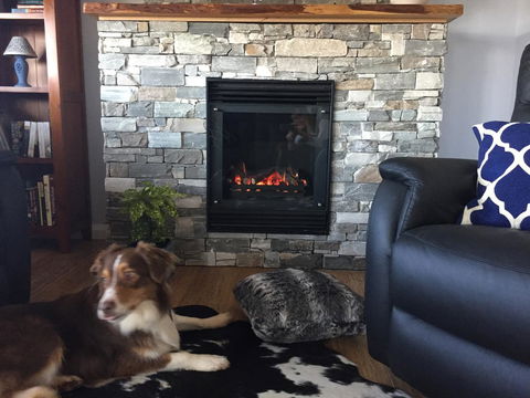 Manna Hill Farm - Accommodation Mount Tamborine 12
