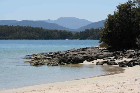 Driftwood - Accommodation Mount Tamborine 14