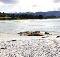 Mermaids of Bicheno - Accommodation Mount Tamborine