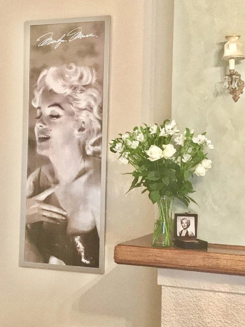 Jones On Wilson Boutique B&B - Accommodation Mount Tamborine 1