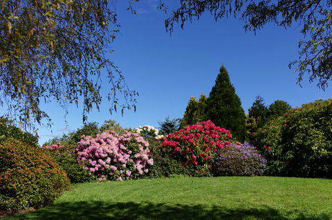 Highgrove - Accommodation Mount Tamborine 15