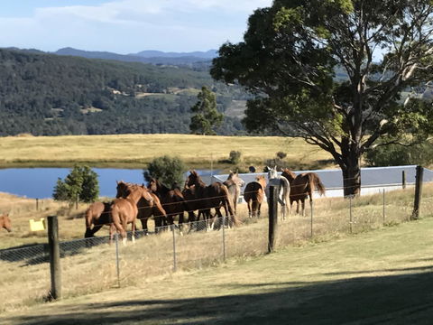 Highgrove - Accommodation Mount Tamborine 25