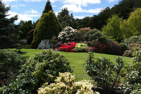 Highgrove - Accommodation Mount Tamborine 18