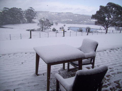 Highgrove - Accommodation Mount Tamborine 23