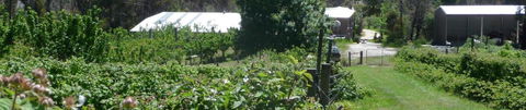 Eureka Farm - Accommodation Mount Tamborine 25