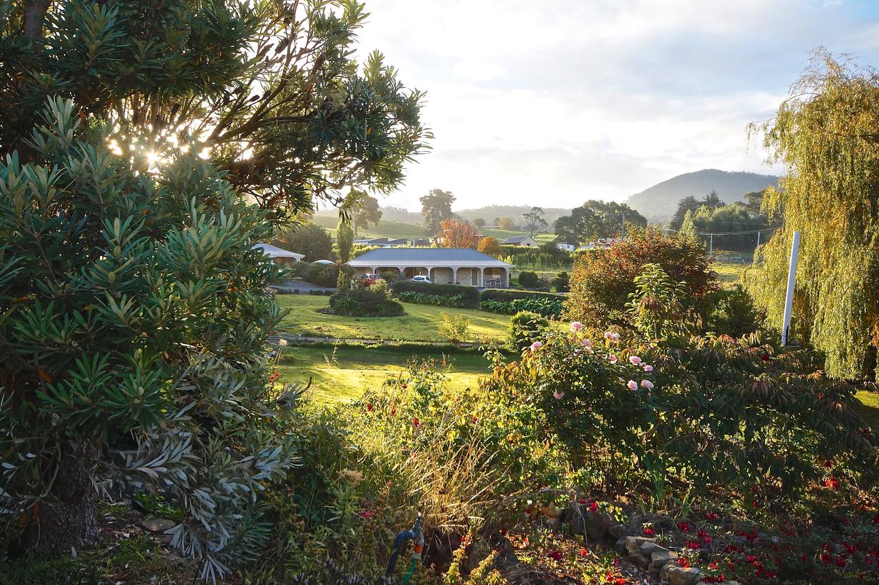  Accommodation Mount Tamborine