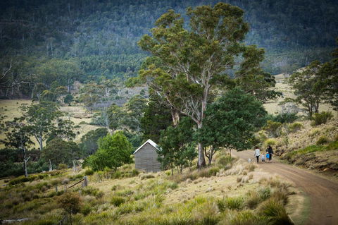 Twamley Farm - Accommodation Mount Tamborine 16