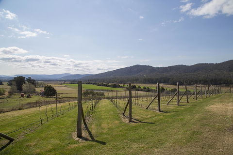 Twamley Farm - Accommodation Mount Tamborine 7