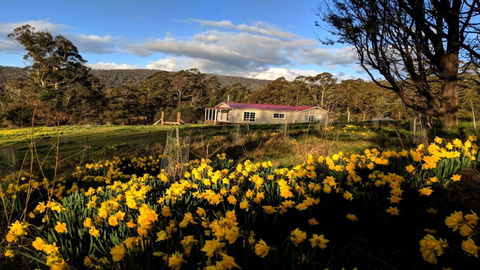 Mountain Blue Guest House - Accommodation Mount Tamborine 3
