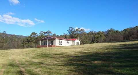 Mountain Blue Guest House - Accommodation Mount Tamborine 26