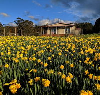 Mountain Blue Guest House - Accommodation Mount Tamborine