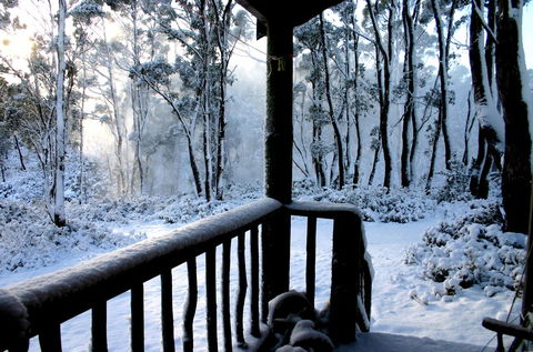Cradle Mountain Love Shack - Accommodation Mount Tamborine 8