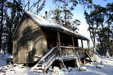 Cradle Mountain Love Shack - Accommodation Mount Tamborine 9