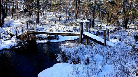 Cradle Mountain Love Shack - Accommodation Mount Tamborine 10