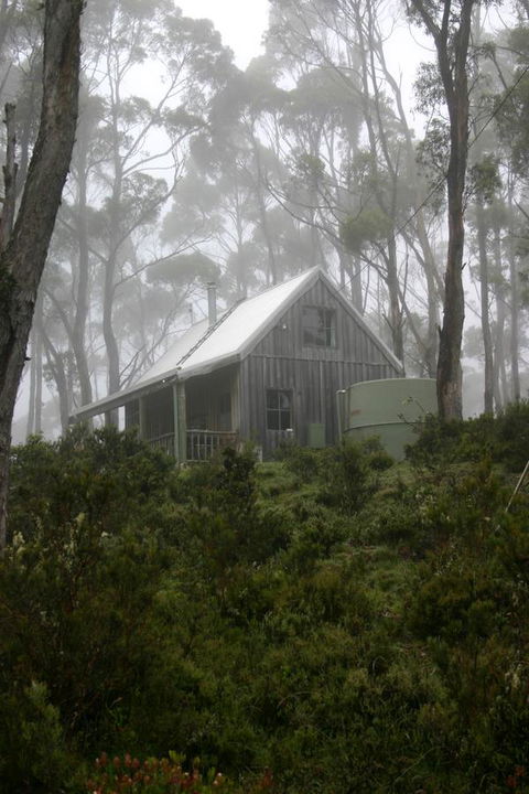 Cradle Mountain Love Shack - Accommodation Mount Tamborine 6