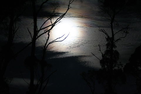 Cradle Mountain Love Shack - Accommodation Mount Tamborine 12
