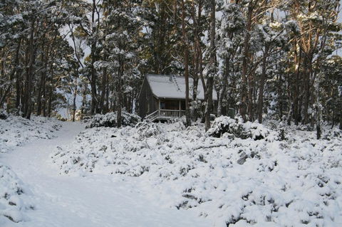 Cradle Mountain Love Shack - Accommodation Mount Tamborine 7